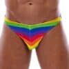 Svenjoyment String in Regenbogenfarben