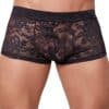 la finesse secteur Pants aus Blütenspitze