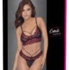 Cottelli LINGERIE BH plus String mit zweifarbigen Spitzeneinsätzen
