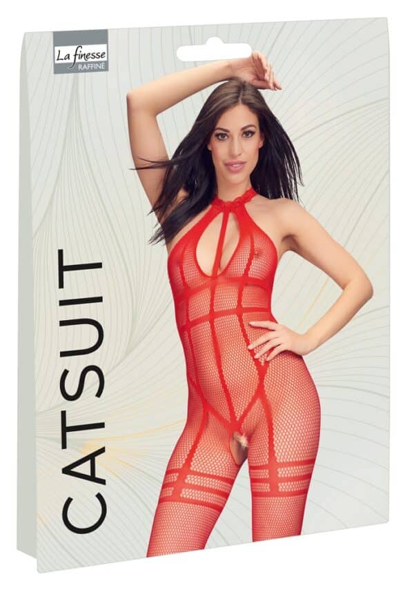 La finesse DESSOUS Catsuit ouvert